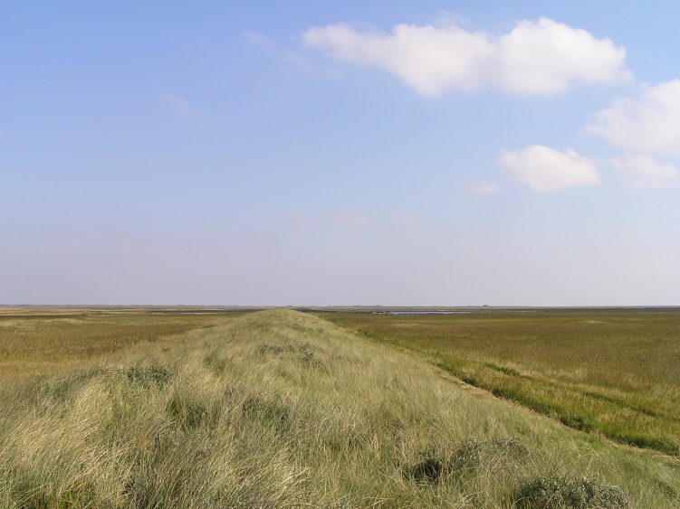 1,5 miljoen voor project ‘De Donkerte van het Waddengebied’